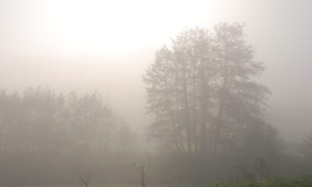 Ho'oponopono – Acum știi mai bine